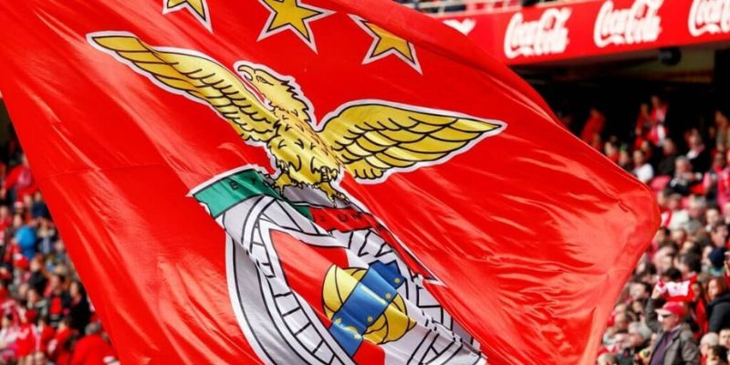 Benfica Quá Trình Thành Lập Và Các Điểm Tin Hot Nhất 1 Benfica quá trình hình thành